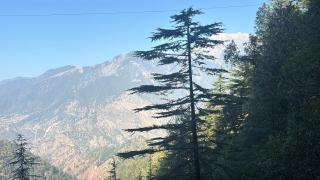 Tranquil trails home stay naddi - 2