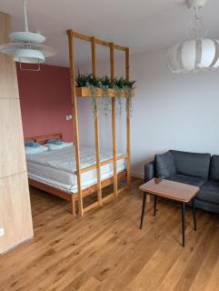 Fresh & Modern Studio - Szpital Zdroje - 8