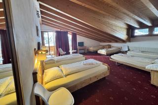 Hotel Relais Alpin - 2