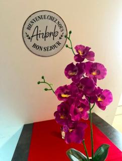 Studio lumineux à 300 m de la plage et commerces - 8