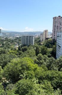 GG Home - 2-bedroom apartment at the Mziuri park - 3