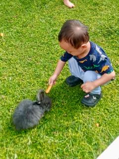 Grand Mulya Hotel Bogor - 7