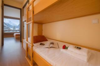 Résidence La Verte 15 ski in ski out - Happy Rentals - 1