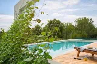 Villa Leccino, Croatia, Istria - 2