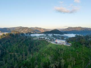 Newburgh Ella - The Tea Factory Resort - 8