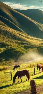 Puro Campo - Tafí del Valle - 9