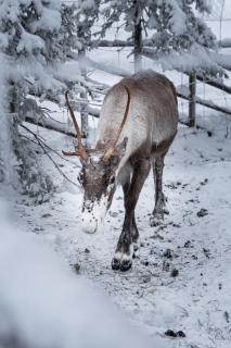 North Suite Frost 20B by Hilla Villas - 1