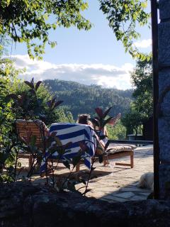 Mes Maisons - Two Gites with Private and Shared pools in Cévennes - 8