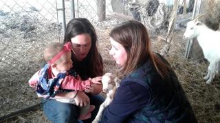 Lovely Cottage Rental with Waterfall on San Gabriel River near Austin, Texas - 7