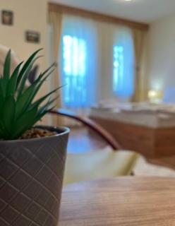 Апартаменти за гости Алекс - 4