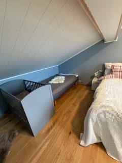 Modern house secluded in nature - 3