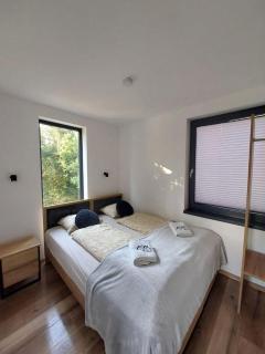 Domek "Skolnity" - 2