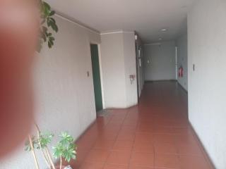 acogedor depto en pichipelluco - 1