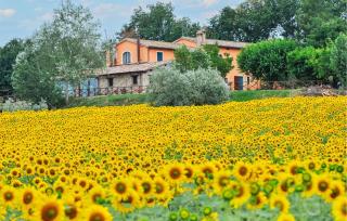 1 Bedroom Nice Home In Frazione Marcellano - 5