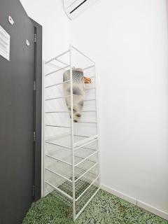 Cosy room 7 - Pietà - 3