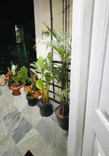 Trove Villa Koramangala, HSR - BTM 1BHK - Carnberry - 2