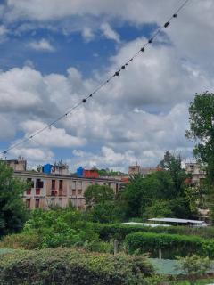 Alojamientos del Parque - 5