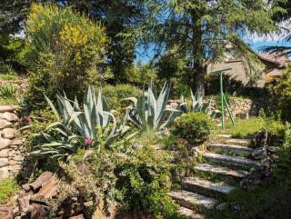 La paillote chez Fredy - 9