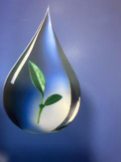 Studio confortable situé à Woluwe Saint Lambert - 9