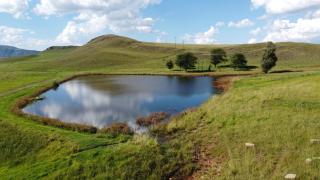 Elizabeth Farm Stay - 1