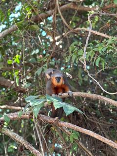 Refúgio Canto do Bugio - 4