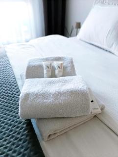 Apartman1105 Sarajevo Free Garage - Sarajevo - 7