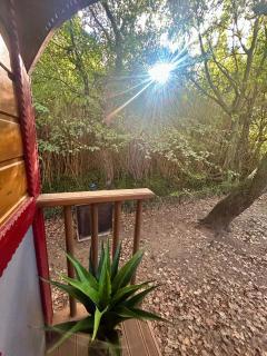 La roulotte du petit paradis - 7