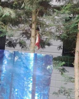 Huisje Boslust, in de natuur op een rustig park - Putten - 4