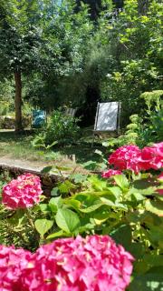 Les Gîtes Du Larderet - Le sous bois - 8