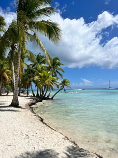 Apartamento Vacacional Coral Azul - SBH - 1