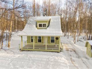 Pet/Family Cabin Near Hatcher Pass Trails | Skiing - 6