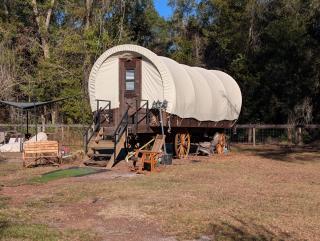 Highland Cow Glamping in a Cozy King Bed Wagon - 1