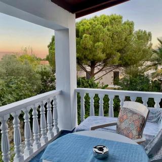 Blue Studios Antonia - 5