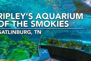 Heavenly Hangout - 3