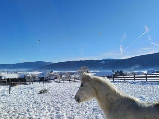 Ferienwohnungen Guglhof Mariapfarr - 8