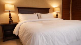 Lion and Cheetah Sanctuary - 2