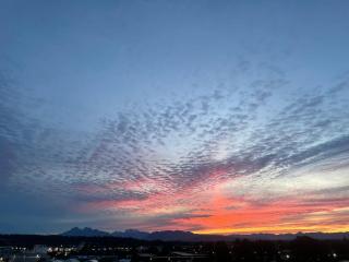 Modern & Stylish Condo in Langley City - 7