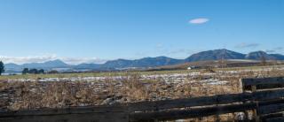 Babky 614 Maladinovo - 2