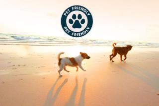 Seaside Veranda 7 - Steps to Beach, Pet-Friendly, Pool, Fast WiFi - 6