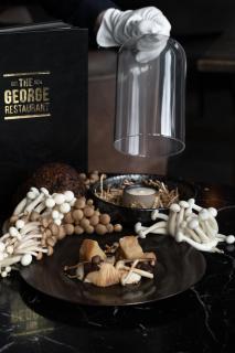 Hotel de Leijhof Oisterwijk - 6