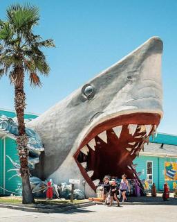 Unit 510 Executive Keys - 6