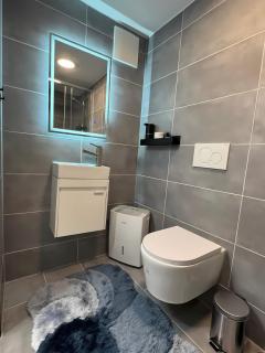 Modern Basement Apt near Phantasialand & Cologne - 6