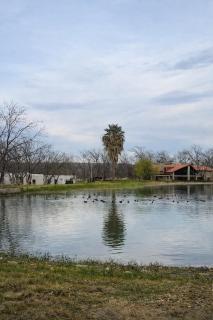 Residencial Hacienda del Márquez - 1