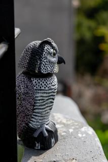 Capitalia Condesa Escandon - 5