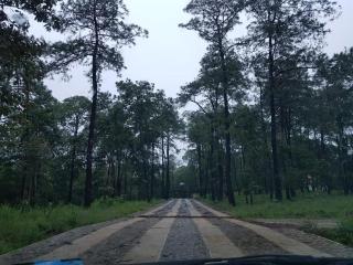 Cabaña de madera en Mazamitla - 4