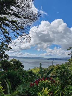 La Ceiba Tree Lodge - 7