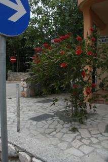 Apartment Mandre 4095a - Kolan - 1