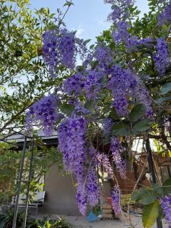 Mountain Wellness Retreat - 6