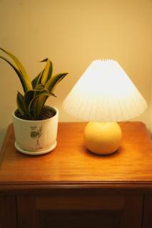 Jasmine Homestay - 4