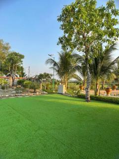 Melalueca tay ninh - 6